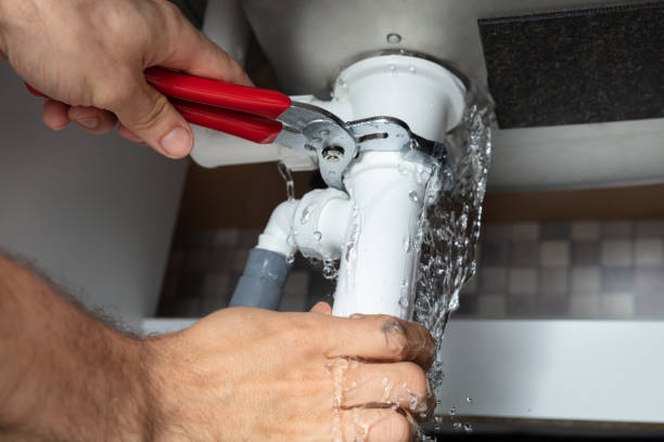 Best Sewage cleanup and water damage restoration  in Paia, HI