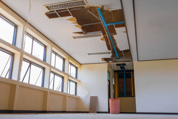 Best Flood damage cleanup  in Paia, HI