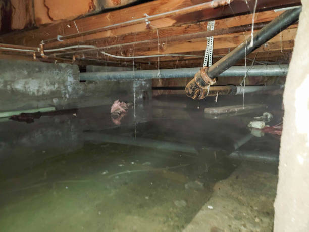 Best 24-hour water damage restoration  in Paia, HI
