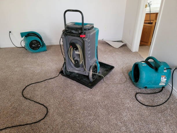 Best Water damage cleanup near me  in Paia, HI