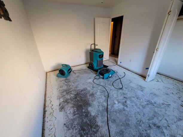 Best Mold removal after water damage  in Paia, HI