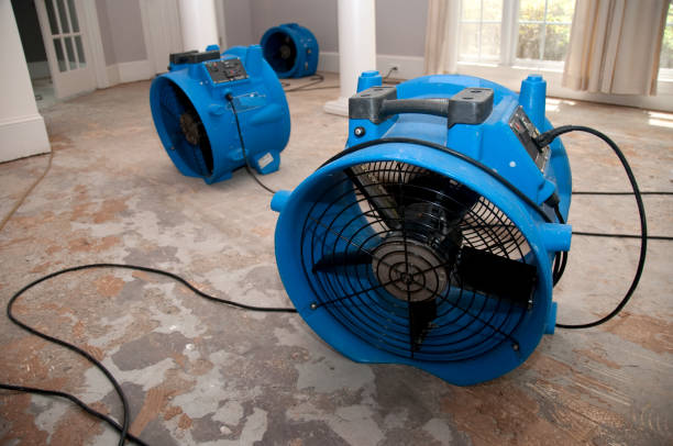  Paia, HI Water damage restoration Pros