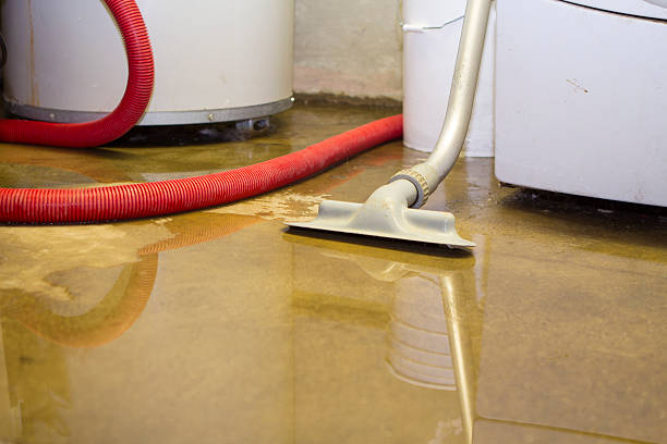 Best Basement water damage restoration  in Paia, HI