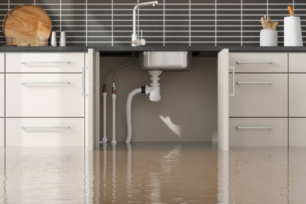 Best Commercial water damage restoration  in Paia, HI